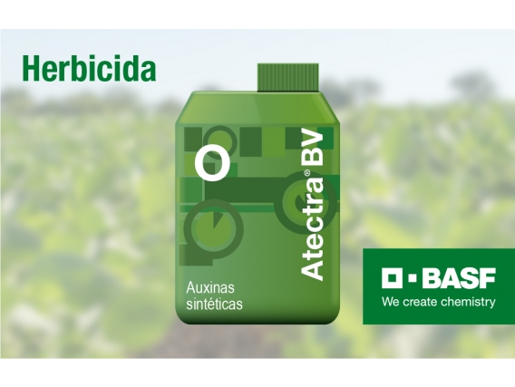 Herbicida Atectra® BV.