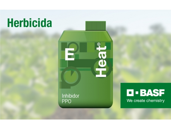 Herbicida Heat®.